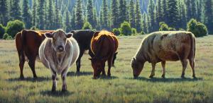 Peaceful Pastures by Kevin Courter