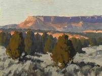 Pinon, Pines & Mesas by Douglas Diehl