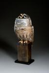 Nocturnal Owl by Hib Sabin
