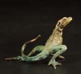 Collard Lizard by Dan Chen