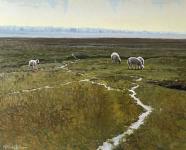 Salt Marsh Sheep - Normandy by Steven Lee Adams