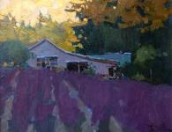 Purple Rows by Jennifer Diehl