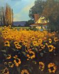 Evening Sunflowers by Romona Youngquist