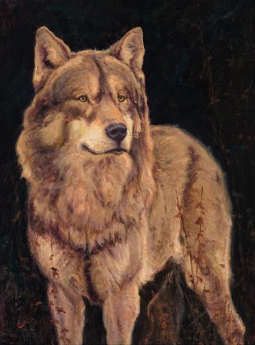 Timberwolf by John DeMott