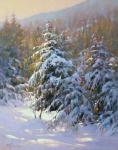Miles of Winter Pines by Barbara Jaenicke