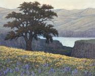 May in the Gorge by Jack Braman