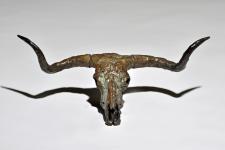 Longhorn Skull by Mick Doellinger