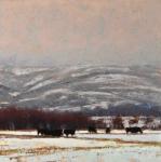 Angus in Winter by Steven Lee Adams