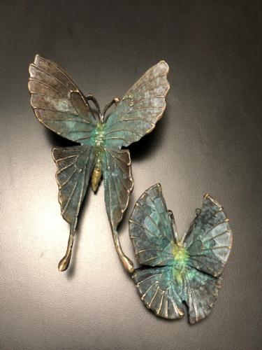 Small Butterfly II by Dan Chen