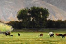 Cattle with Passing Cloud by Steven Lee Adams
