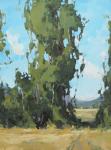 Summer Cottonwoods by Julie Davis