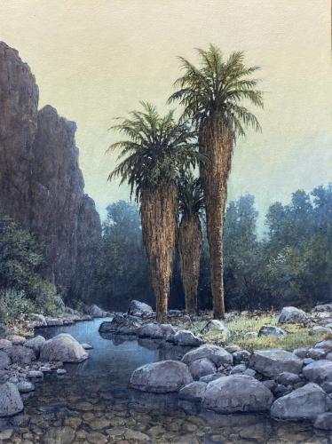 Palm Canyon by Jack Braman