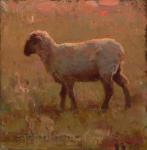 Sheep in Morning Light by Michael Malm