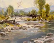On the Gros Ventre by Mitch Baird