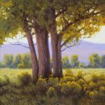 Summer Shade by Kevin Courter