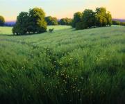 In The Morning Meadow by Kevin Courter