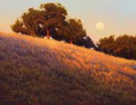 Evening Oaks by Kevin Courter
